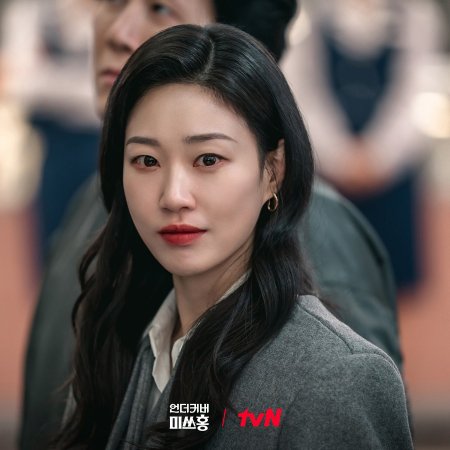 Undercover Miss Hong (2026)