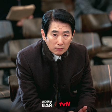 Undercover Miss Hong (2026)