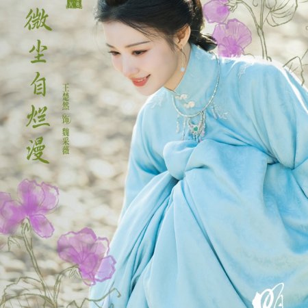 A Ming Dynasty Adventure ()