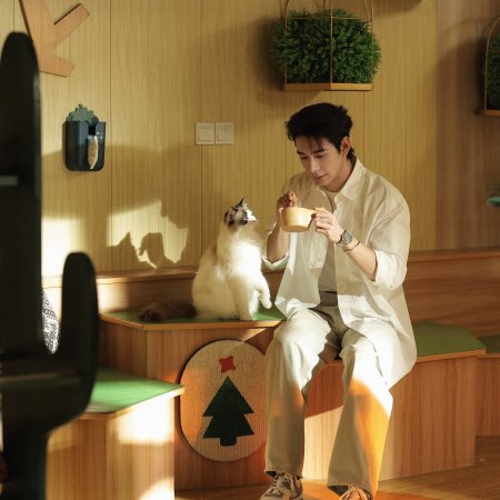 Love on the Turquoise Land (2025)