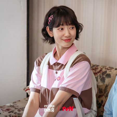 Undercover Miss Hong (2026)