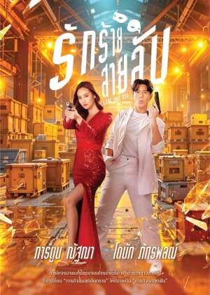 Love and Spy poster