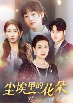 Flowers in the Dust Chinese Drama(2024) photo