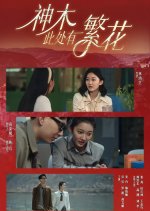 Shen Mu Ci Chu You Fan Hua Chinese Drama(2025) photo