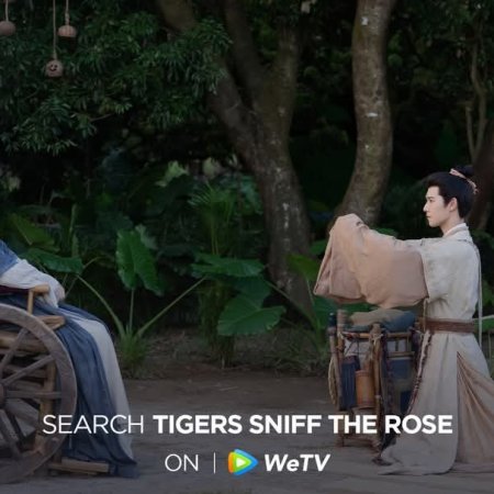 Tigers Sniff the Rose (2026)