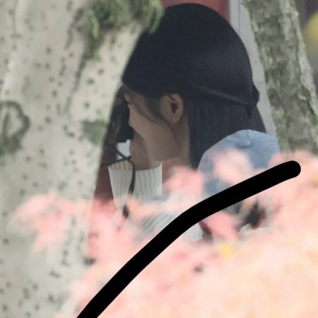 The Lament of Autumn ()