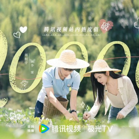 Sniper Butterfly (2025)