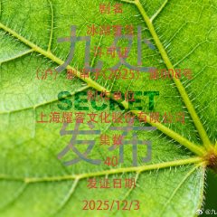 Rebirth Chinese Drama(0000) photo