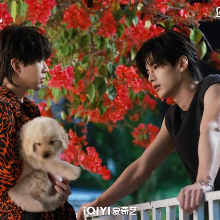 Speed and Love (2025)