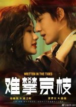 Written in the Tides Chinese Drama(2025) photo