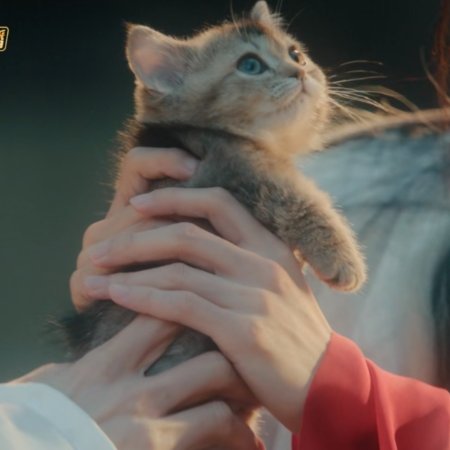 Whispers of Fate (2025)