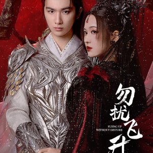 Flying up without Disturb (2025)