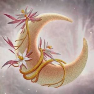 moonsorchid