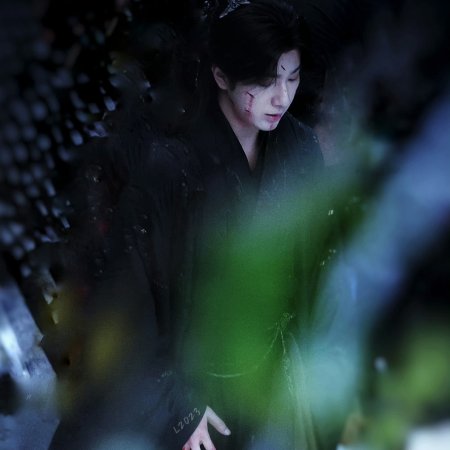 Blossom in Darkness ()