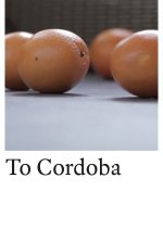 To Cordoba Chinese Movie(2012) photo