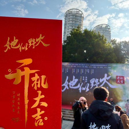 Ta Si Ye Huo ()