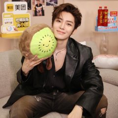 Singer 2026 Chinese TV Program(2026) photo