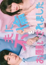 Otto ni Furin wo Onegai Saremashita Japanese Drama(2026) photo