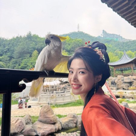 Lu Yu Xiao