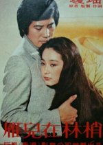 The Wild Goose on the Wing Taiwanese Movie photo