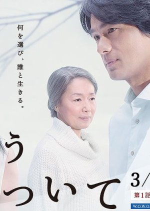 Watashi to Iu Unmei ni Tsuite (2014) poster
