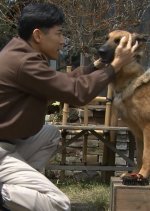 Arigato Champi Japanese Drama photo