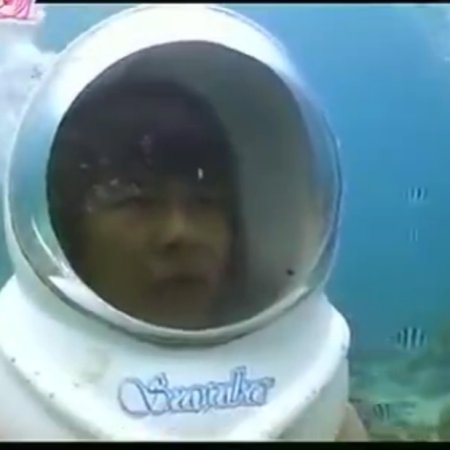 Kamisama no Boto  (2013)