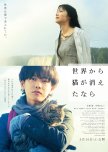 If Cats Disappeared From the World japanese movie review