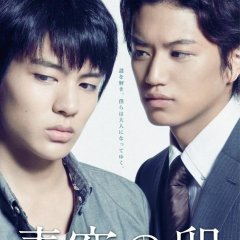 Aozora no Tamago Japanese Drama photo