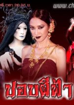 Pob Pee Fah Thai Drama(2009) photo