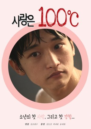 Amor a 100° C (2010) poster