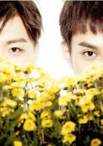 This Summer Chinese Movie photo