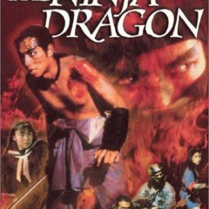 The Ninja Dragon (1990)