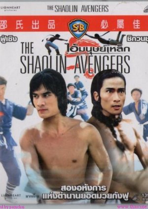 The Shaolin Avengers (1976) poster