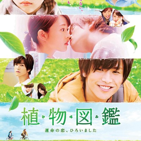 Kamisama no Boto  (2013)