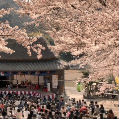 The 8-Year Engagement Japanese Movie photo
