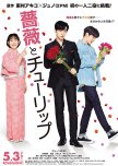A Rose and a Tulip japanese drama review