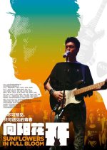 Sunflowers in Full Bloom Chinese Movie photo