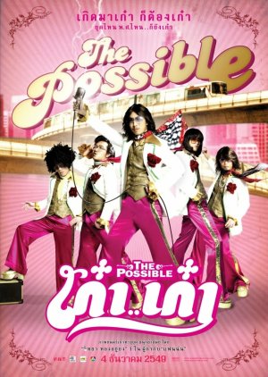 The Possible (2006) poster