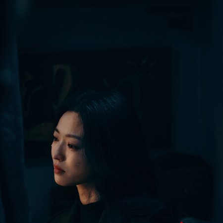 Once upon a Time in Longfan (2026)