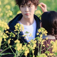 You're My Only World Chinese Drama(2026) photo