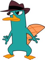 kazeywazey