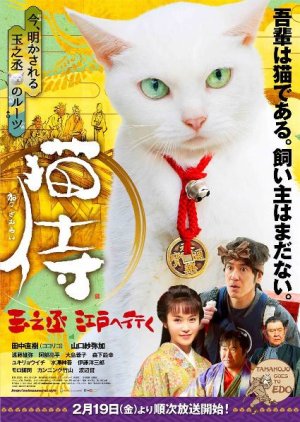 Neko Zamurai: Tamanojo, Edo e Iku (2016) poster