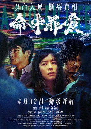 A Stolen Life (2025) poster