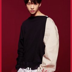 Stray Kids Korean TV Program photo