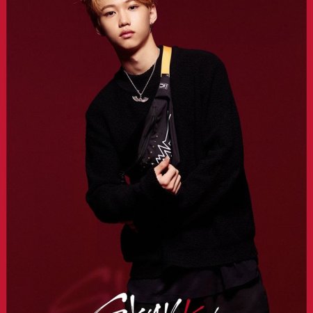 Stray Kids (2017)
