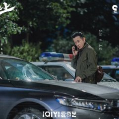 Breaking the Shadows Chinese Drama photo