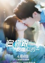 Chasing You Is Like Cooking a Hawk Chinese Drama photo