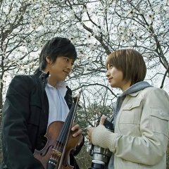 Under the Magnolia Japanese Movie photo