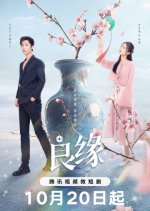 Fateful Love Chinese Drama(2024) photo
